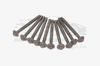 Фото запчасти 110560195R Запчасти на Renault (Рено) болт головки блока