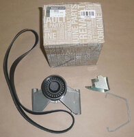 Фото запчасти 117205500R Запчасти на Renault (Рено) к-т ремня приложений. оборудование