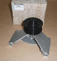 Фото запчасти 119231672R  ролик приводных ремней