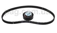 Фото запчасти 130C17480R Запчасти на Renault (Рено) Комплект ремня грм 1.6i-1.4i K7J K7M 2010 ->