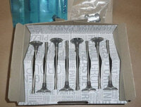 Фото запчасти 132012274R Запчасти на Renault (Рено) клапаны