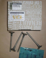 Фото запчасти 132024905R Запчасти на Renault (Рено) клапан выпускной