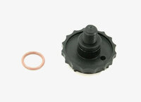 Фото запчасти 164361388R  болт топливного фильтра