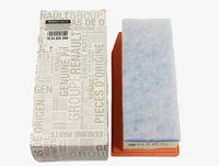 Фото запчасти 165460509R Запчасти на Renault (Рено) фильтр воздушный