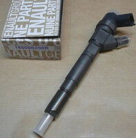 Фото запчасти 166008208R Запчасти на Renault (Рено) форсунка топливная восстановленая