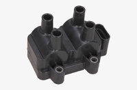 Фото запчасти 224336134R Запчасти на Renault (Рено) катушка зажигания