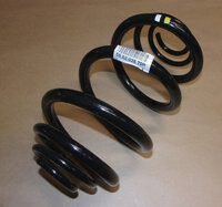 Фото запчасти 550202870R Запчасти на Renault (Рено) пружина задняя Trafic