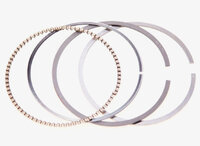 Фото запчасти 7701474857 Запчасти на Renault (Рено) комп. порше. колец