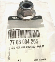 Фото запчасти 7703034265 Запчасти на Renault (Рено) гайка M14X150 (устанавливается с 550447517R)