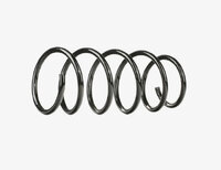 Фото запчасти 8200193020 Запчасти на Renault (Рено) пружины подвески перед clio ii 98-06