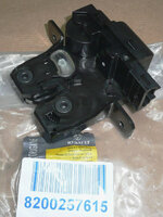 Фото запчасти 8200257615 Renault крышка замка багажника